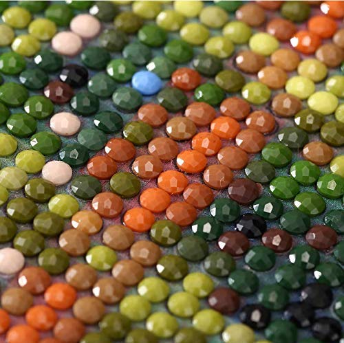 "Home" Theme Diamond Painting Kit, Rustic Wood with Vivid Colors, 5D Full Drill Round - Chic Brico